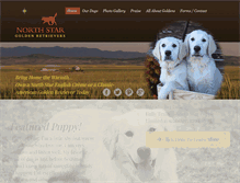 Tablet Screenshot of northstargoldens.com